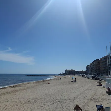 Location-los Locos-pool-torrevieja-pmt19 アパート トレビエハ