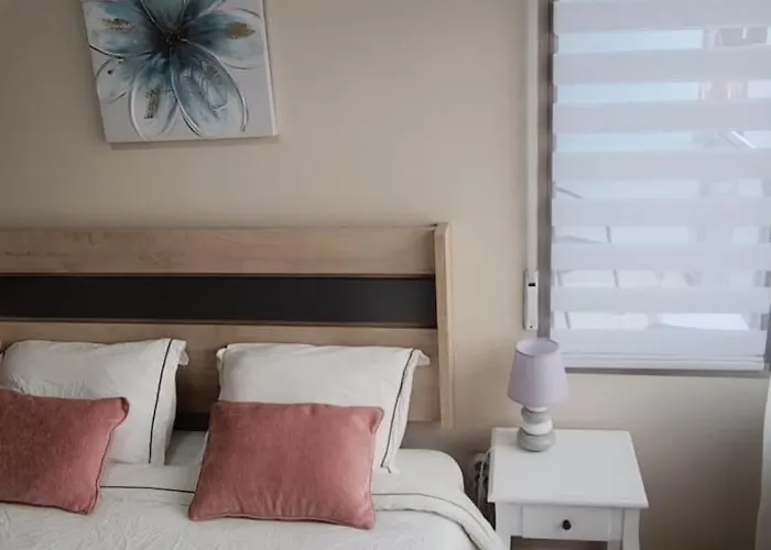 Location-los Locos-pool-torrevieja-pmt19 * トレビエハ