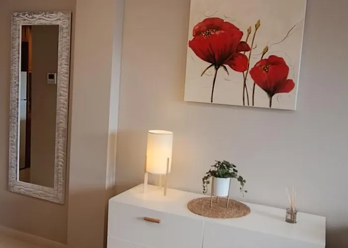 Location-los Locos-pool-torrevieja-pmt19 アパート